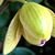 Deirdre McQuade's profile image