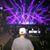 William Bridges's profile image
