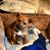 Roy G. Townsend's profile image