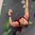 Savannah Schwam Stonebrook's profile image