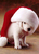 Catherine J.'s profile image