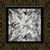 Dana Diamond's profile image
