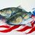 Roger Brown's profile image