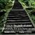 Cheryl Henry Baker's profile image