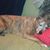 Sandy Walters's profile image