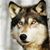 Susan Coffey's profile image