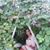 Monica Garcia Cole's profile image