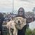 Michelle Mathews's profile image