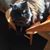Diann Jennings's profile image