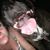 Stephanie Xamis Cody's profile image
