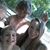 Ashley Hayes's profile image