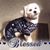 Judy Anne Wolfe's profile image