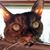 Melissa Mendenhall Cade's profile image