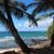 Alexis Vosburg's profile image