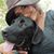 Kelsey Schoenknecht's profile image