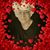 Virginia Sherwood's profile image