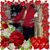 Sherri Humphrey's profile image