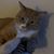 Lisa Miller's profile image