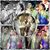 Yash Mundra's profile image