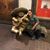 Ramon Contreras's profile image