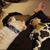 Julie McKenzie Toms's profile image