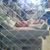 Brenda Hucker's profile image