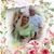 Pam Segal's profile image