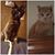 Amanda Lynn Augenstein's profile image