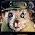 Dustin Prewitt's profile image