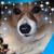 Rosemarie Karma's profile image