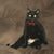 Jamie Lynn Mounce's profile image