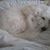 Gina Lovecchio's profile image