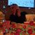Pam Marble's profile image