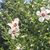 Jan Seemar Richard's profile image
