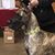 Tracy L. Rettberg's profile image