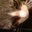 suzy q's profile image