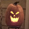 John T.'s profile image