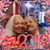 Denise Laino's profile image