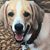 Carol Woynarowski's profile image