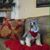 Kathy Patton Myers's profile image
