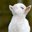 Lauren Bastian's profile image
