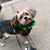 Marketta Davis's profile image