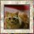 Barbara W.'s profile image