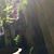 Meredith Barringer Sutton's profile image