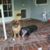 Linda Tedlock's profile image
