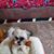 Sherri Wolfgram's profile image