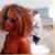 Rocelle Ginis's profile image