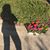 Amada Pedroni Gonzalez's profile image