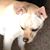 William Oberst's profile image
