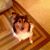 Brenda Ray's profile image